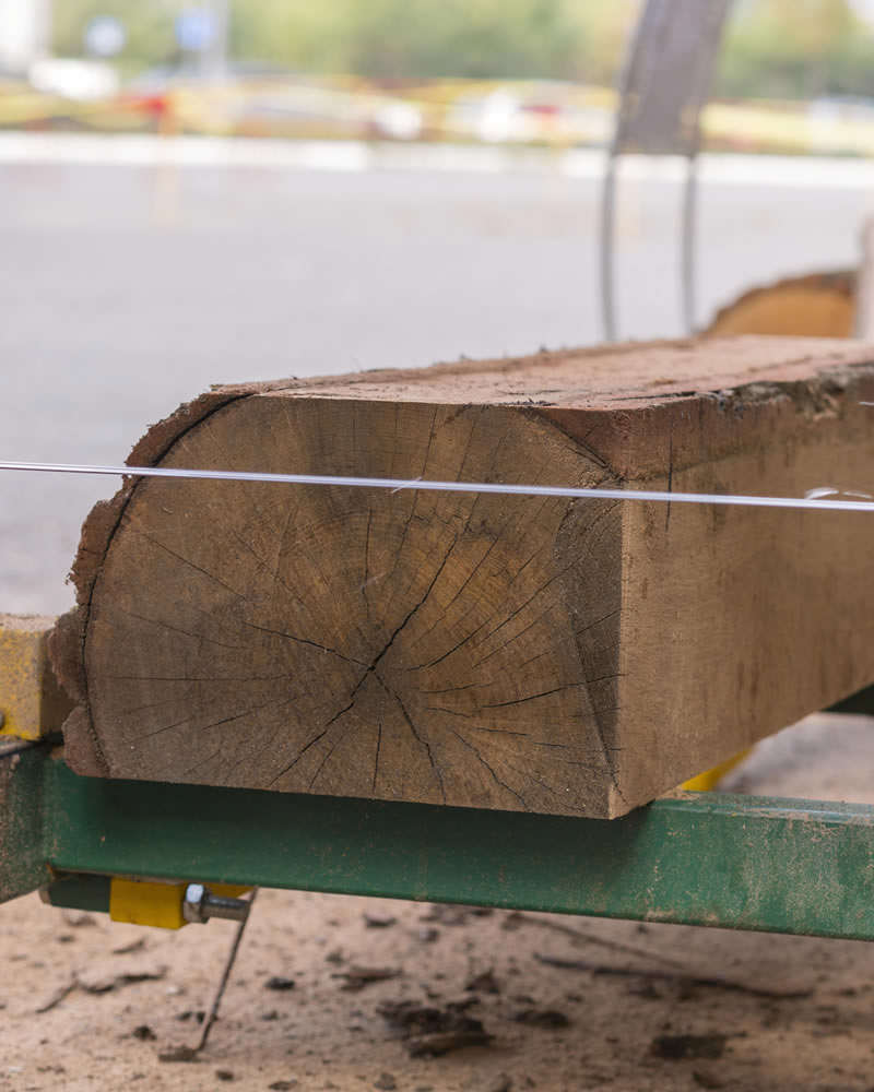 Custom Milling Silverback Treeworks Ltd.