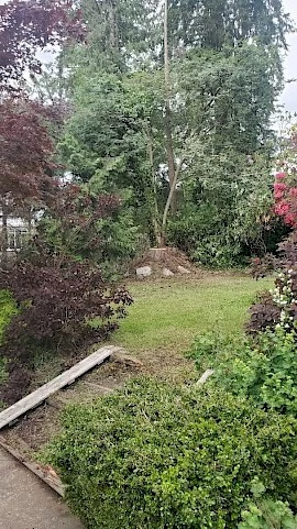 Silverback Treeworks