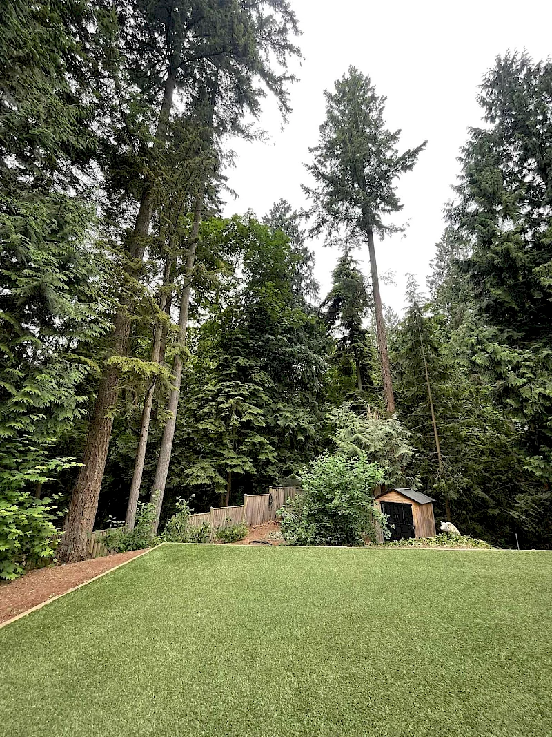 Silverback Treeworks