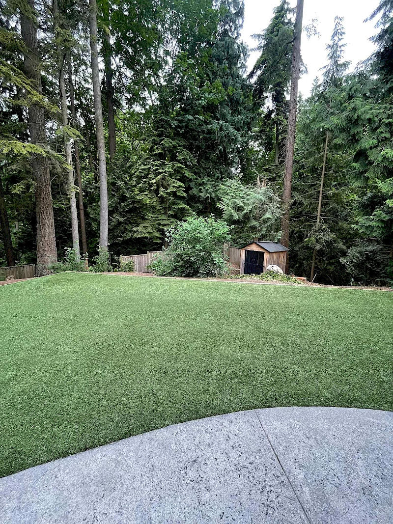 Silverback Treeworks