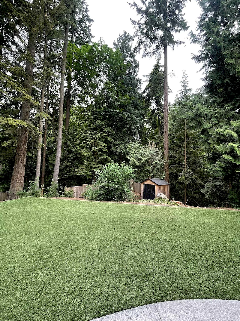 Silverback Treeworks