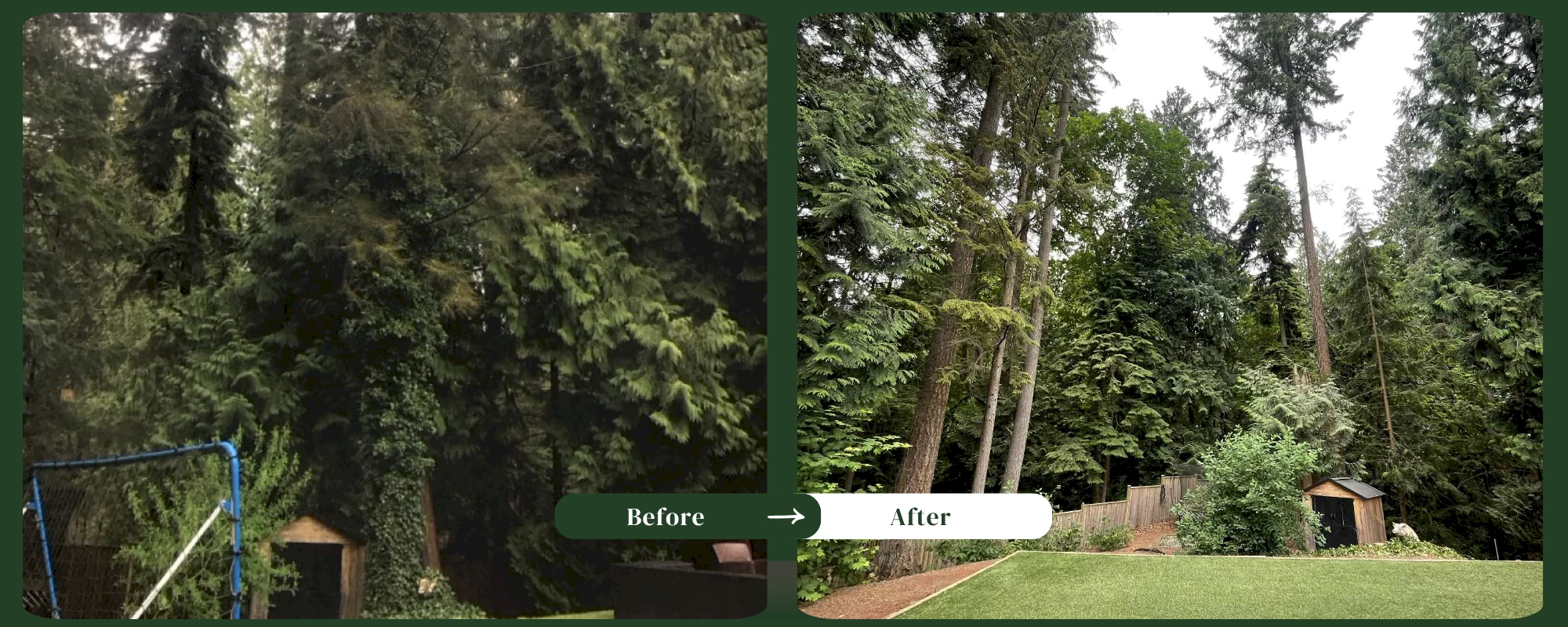 Silverback Treeworks