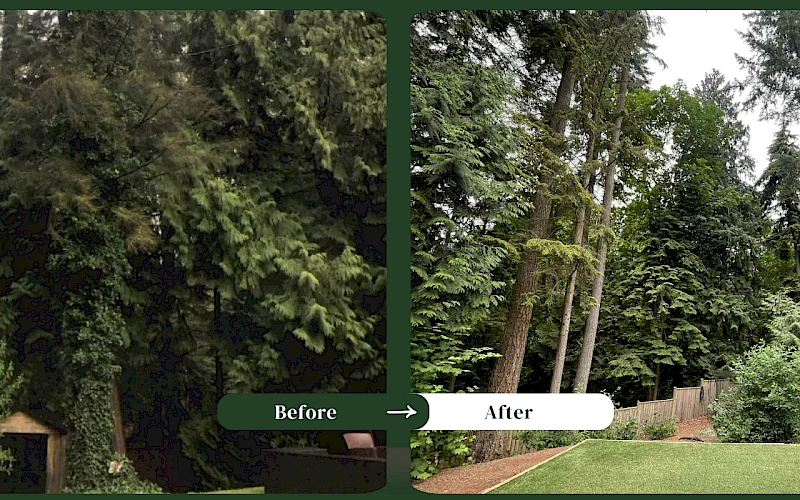 Silverback Treeworks
