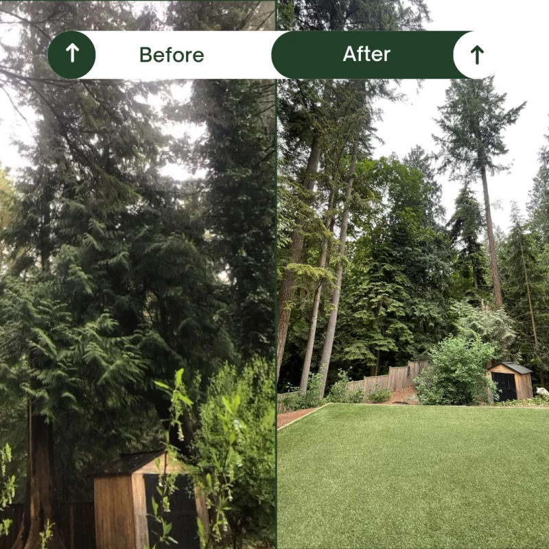 Silverback Treeworks