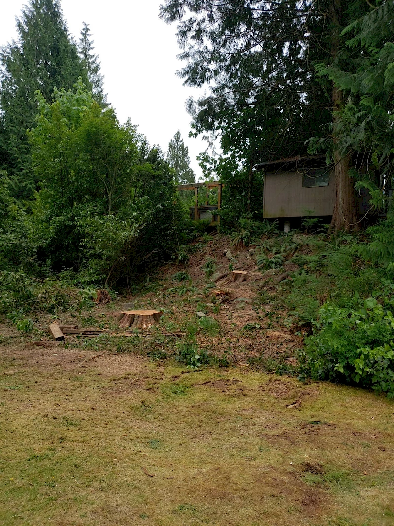 Silverback Treeworks