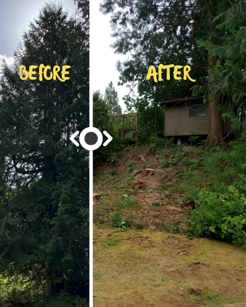 Silverback Treeworks