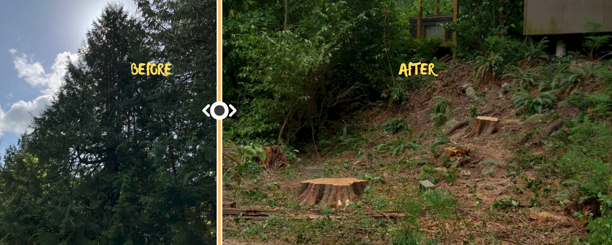 Silverback Treeworks