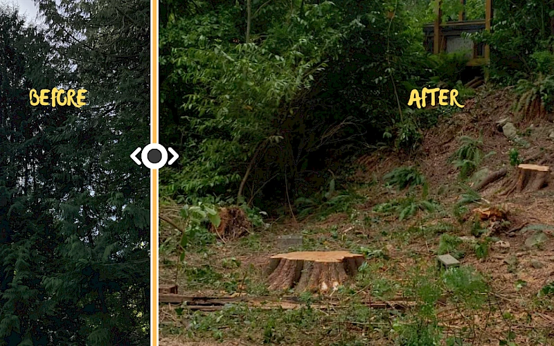 Silverback Treeworks