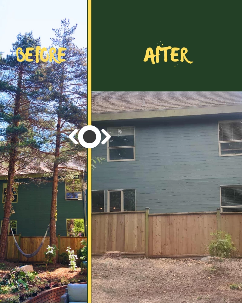 Silverback Treeworks