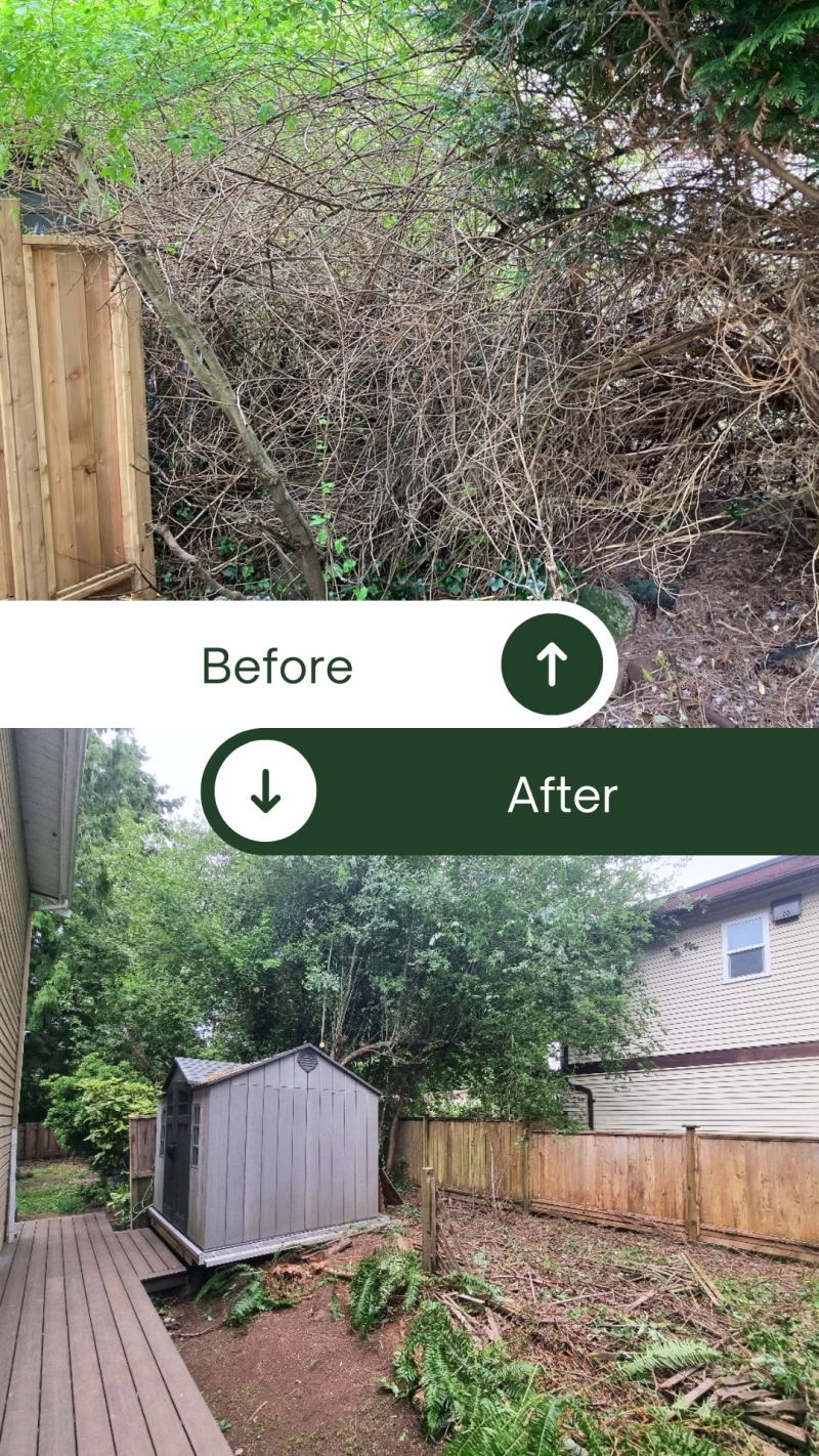 Silverback Treeworks
