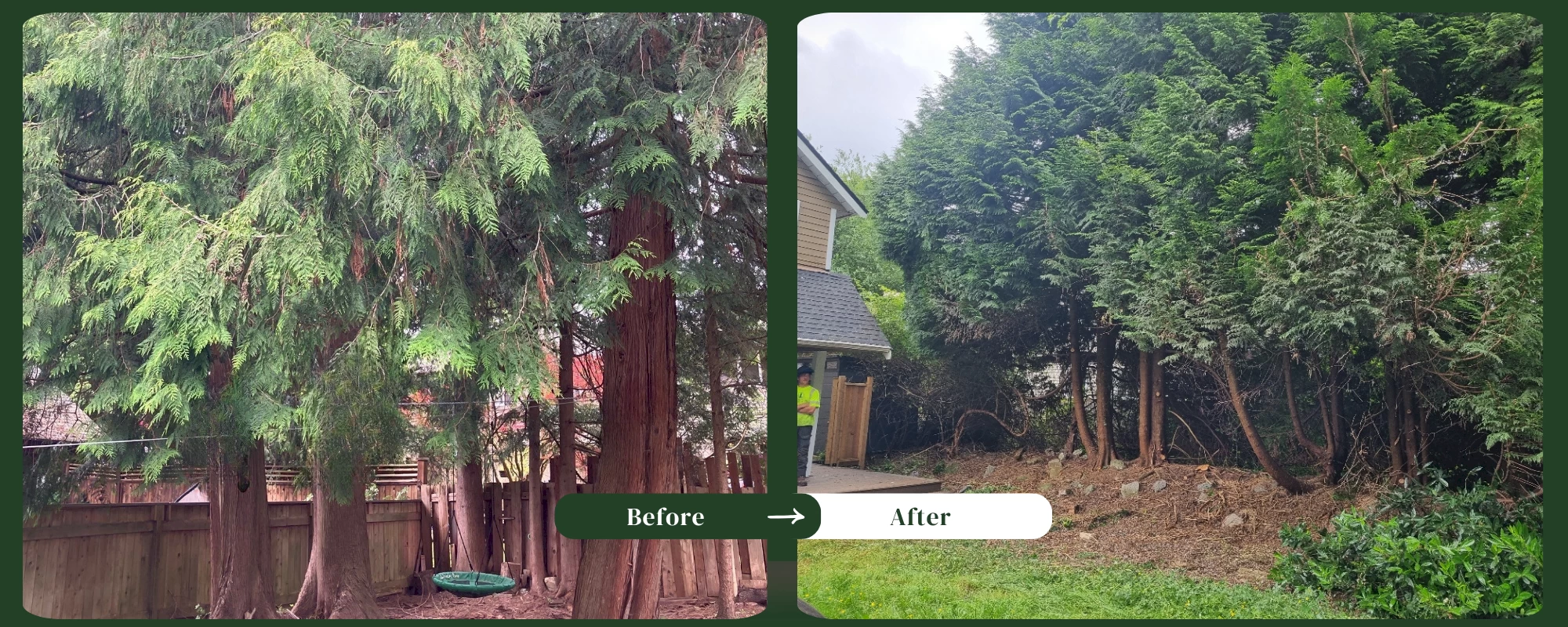 Silverback Treeworks