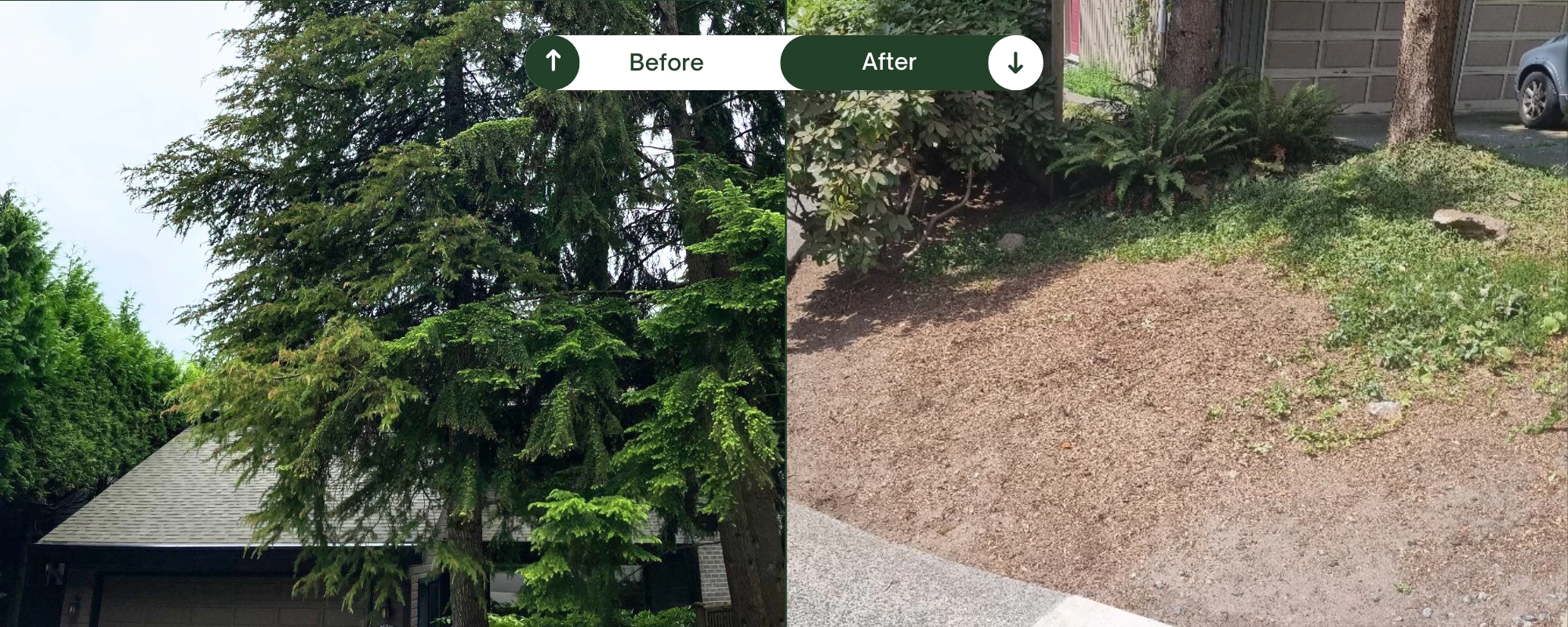 Silverback Treeworks