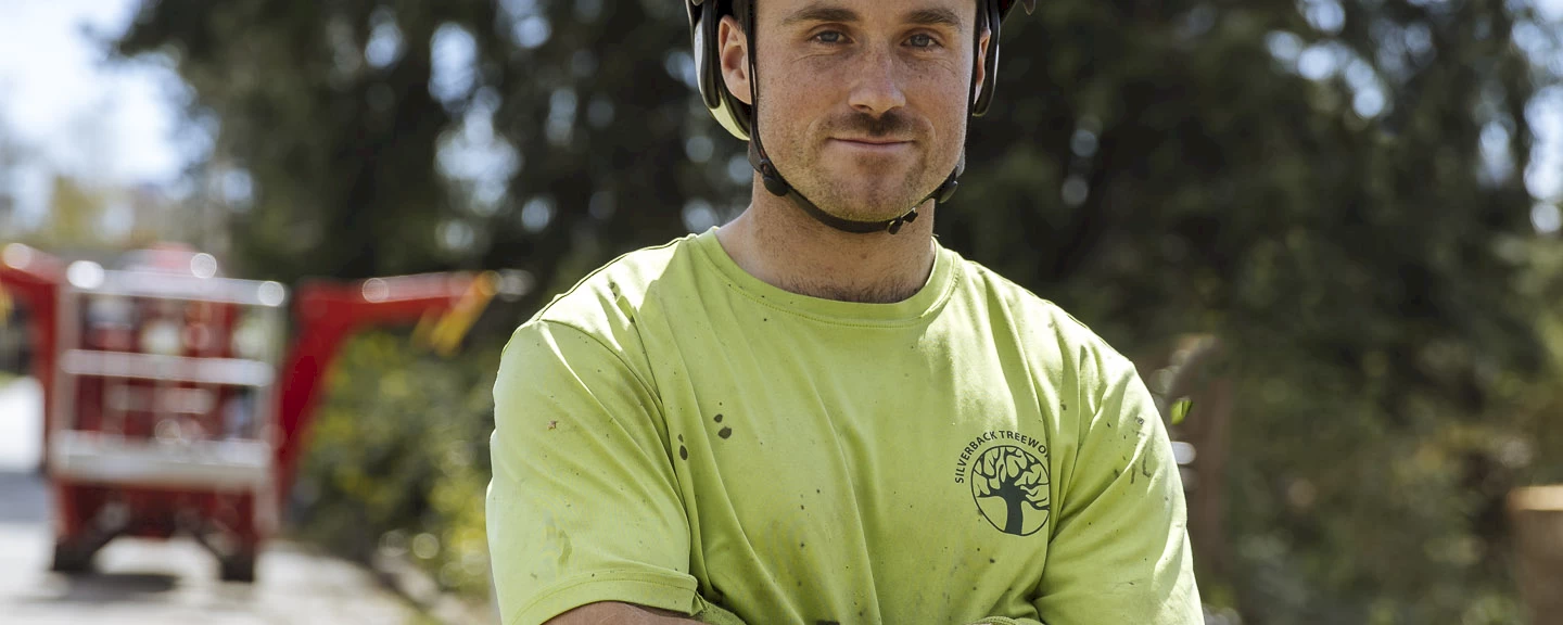 Silverback Treeworks