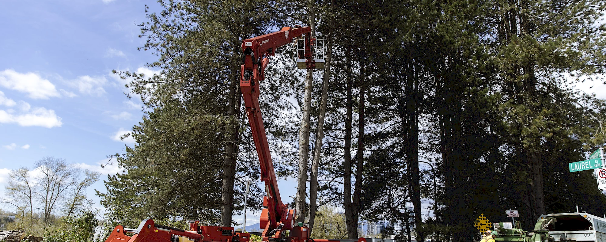 Silverback Treeworks