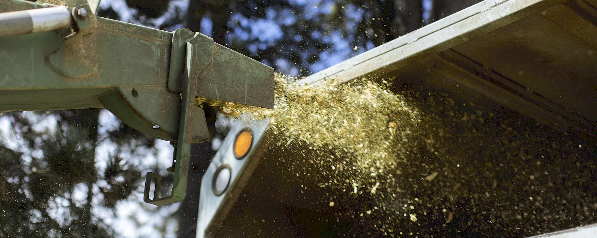 Silverback Treeworks