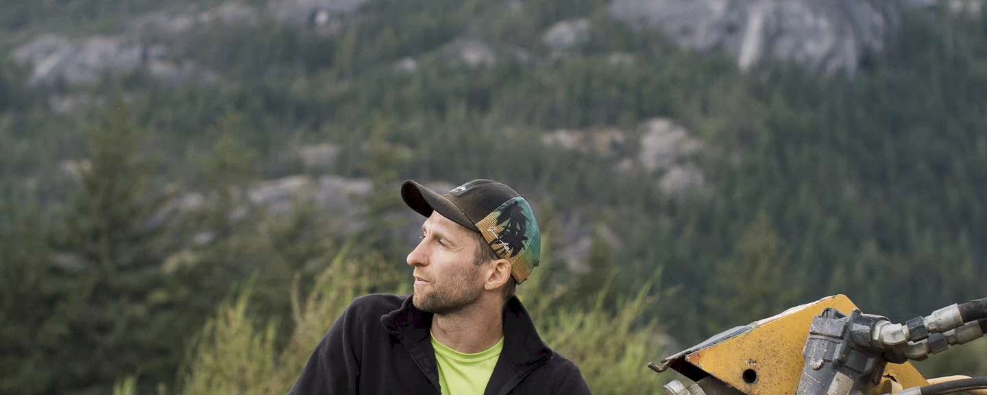 Silverback Treeworks