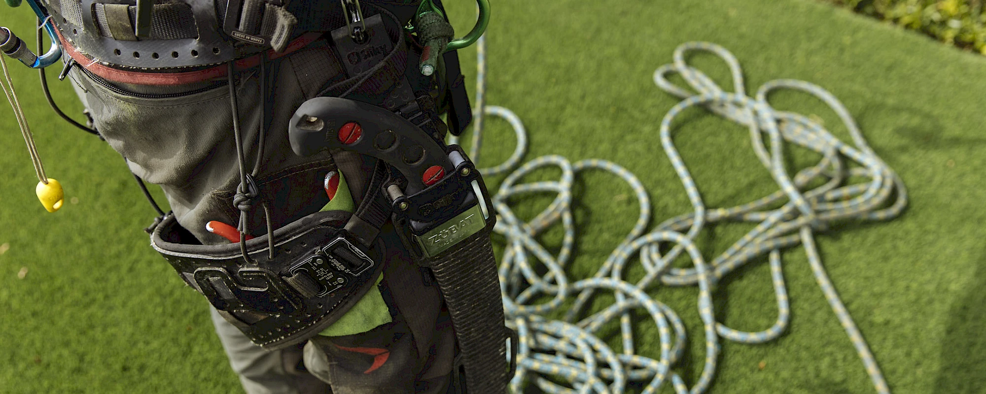 Silverback Treeworks