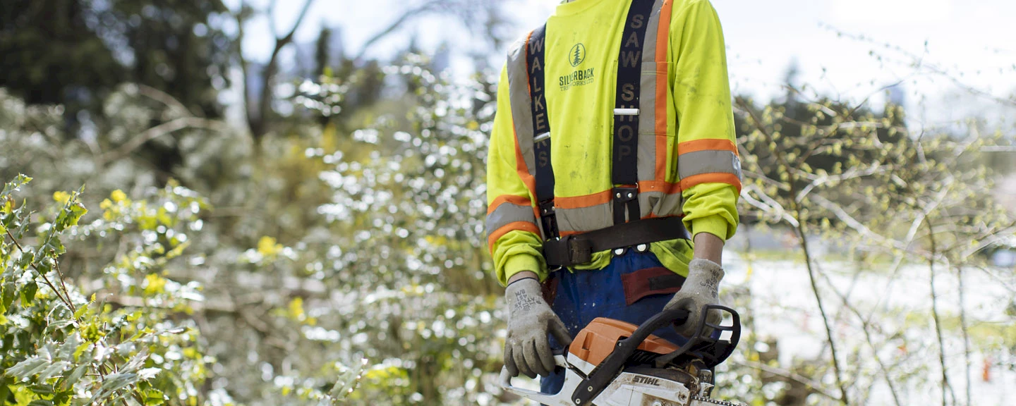 Silverback Treeworks