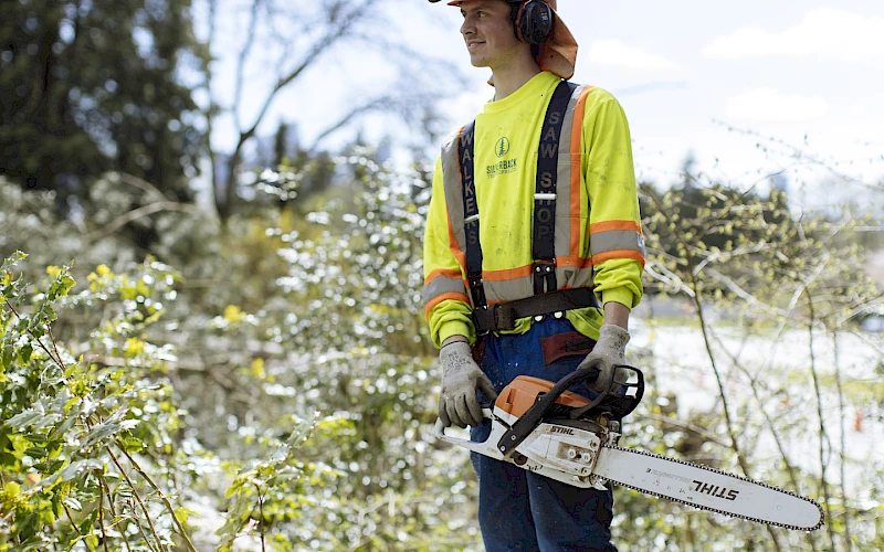 Silverback Treeworks