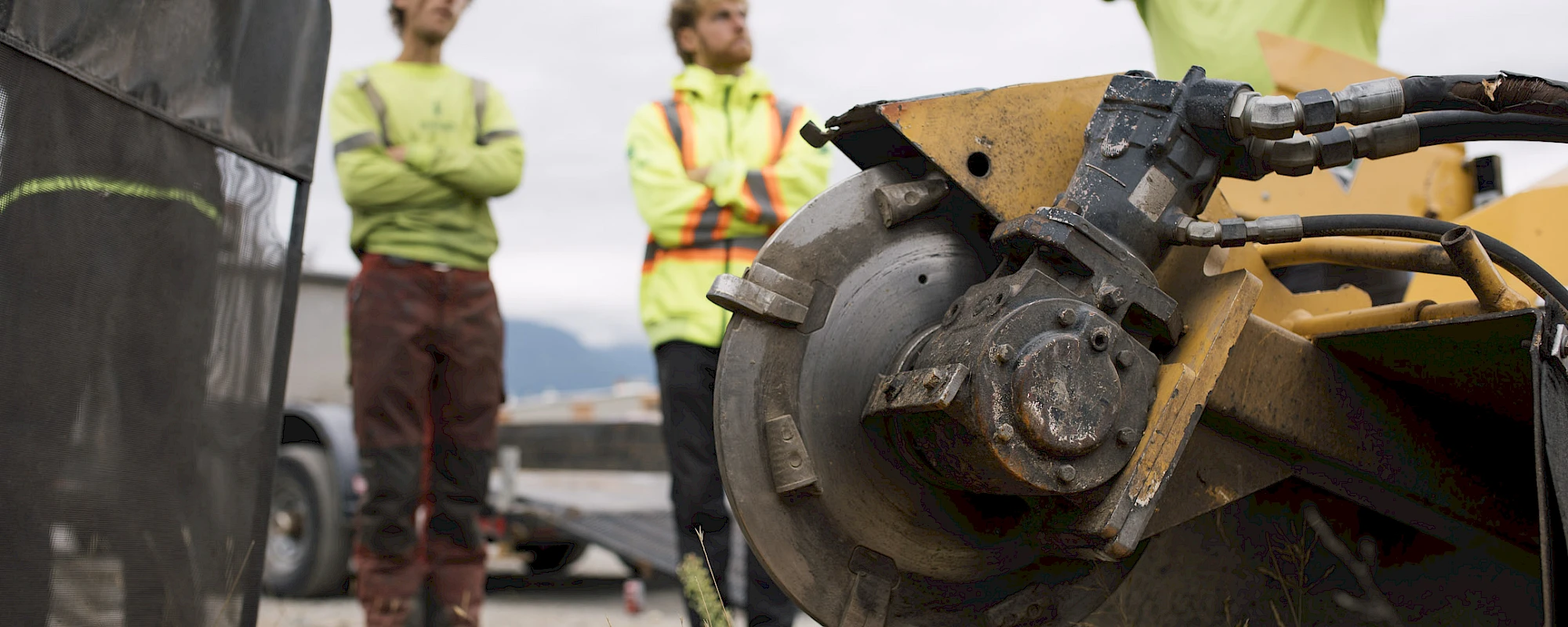 Silverback Treeworks