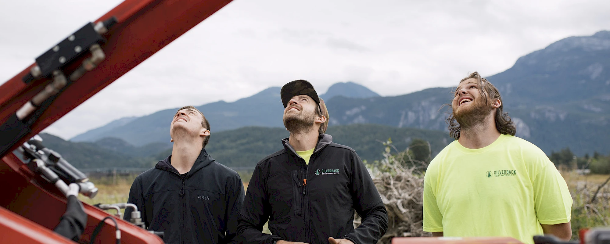 Silverback Treeworks