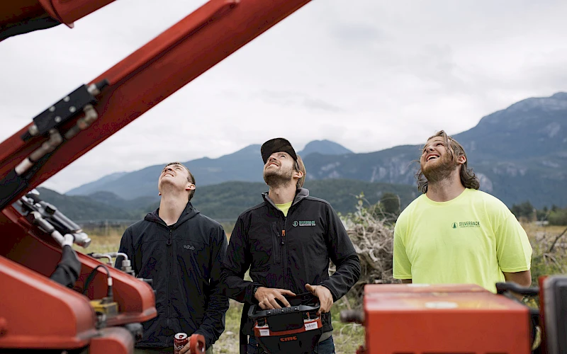 Silverback Treeworks