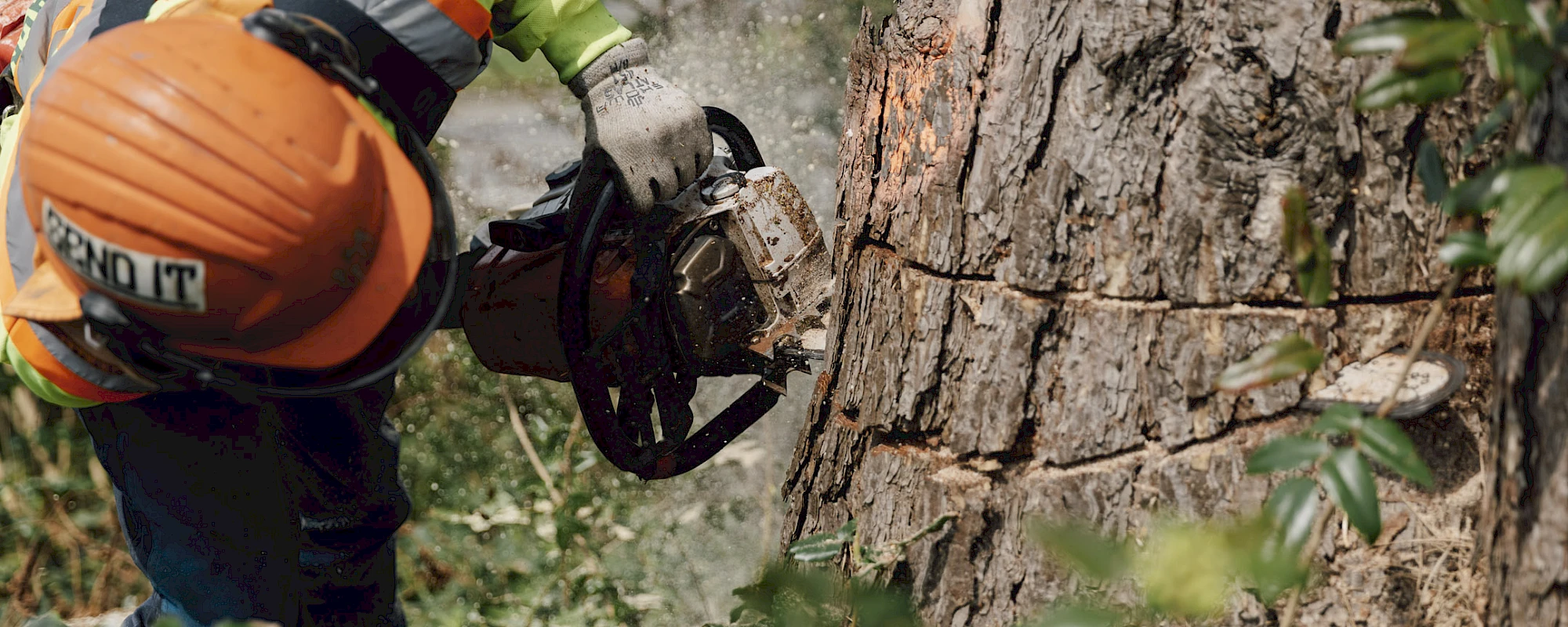 Silverback Treeworks